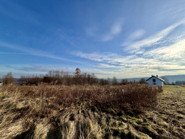 Działka budowlana Przytkowice