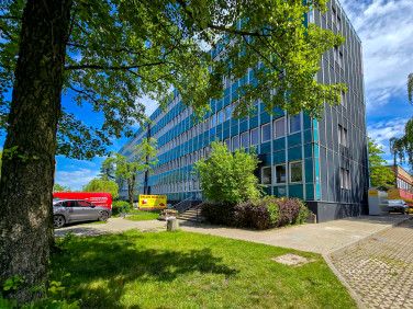 Lokal Dąbrowa Górnicza