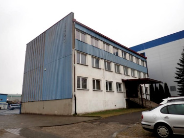 Lokal Dąbrowa Górnicza