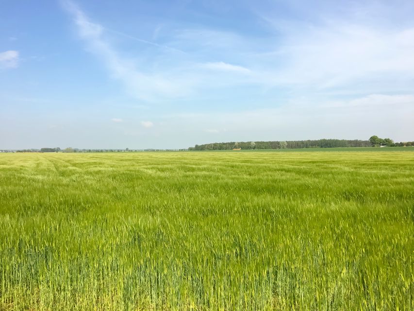 Działka rolna Węglewo