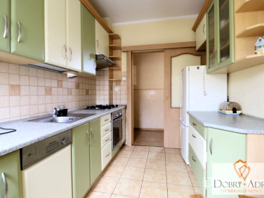 Lokal Rzeszów wynajem