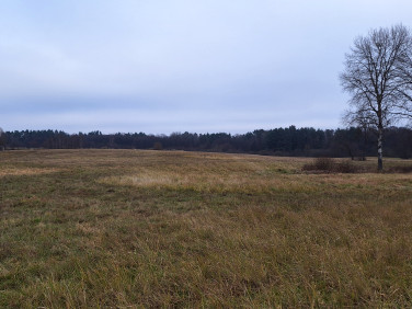 Działka rolna Mariankowo sprzedam