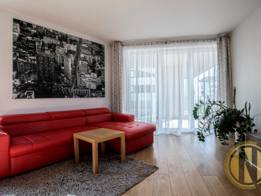 Mieszkanie Kraków wynajem