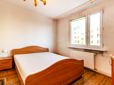 Mieszkanie przy lesie