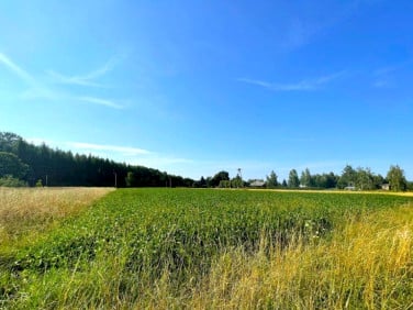 Działka rolna Haczów