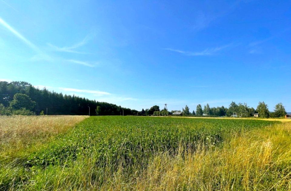 Działka rolna Haczów