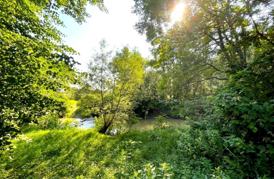 Działka rolna Haczów