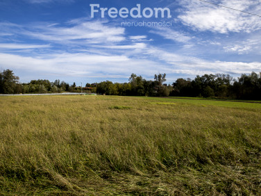 Działka Niechobrz