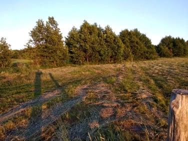 Działka rekreacyjna Sasino