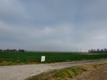 Działka budowlano-rolna Zamość