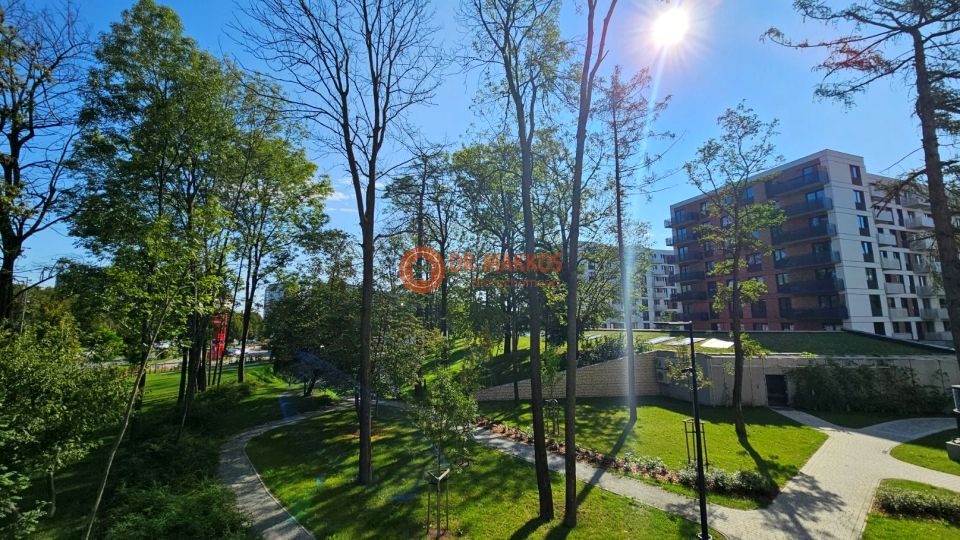 Lokal Kraków wynajem