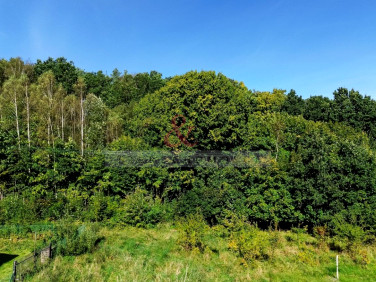 Działka rolna Czapielsk