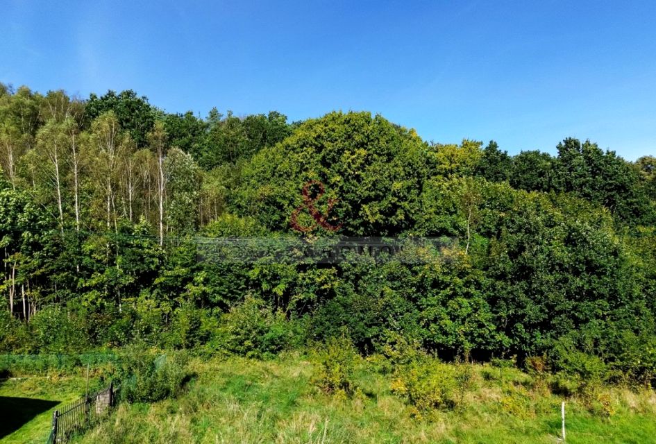 Działka rolna Czapielsk