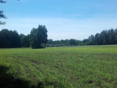 Działka budowlana Świerkowo