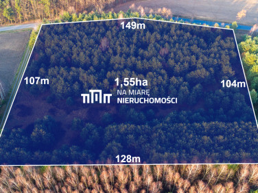 Działka przy lesie