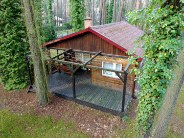 Działka budowlana Sokolniki-Las sprzedam