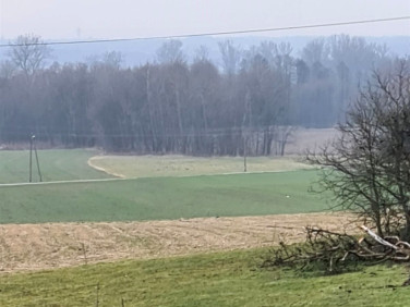 Działka Wodzisław Śląski