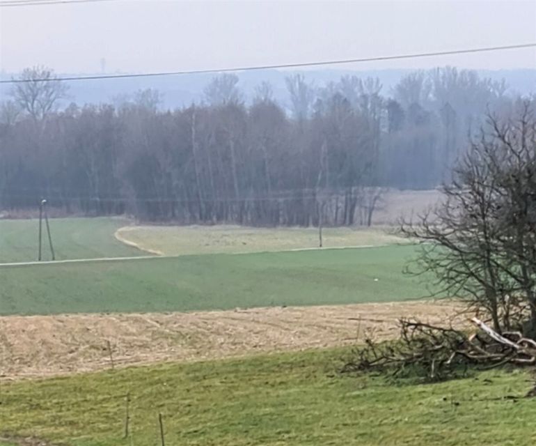 Działka Wodzisław Śląski