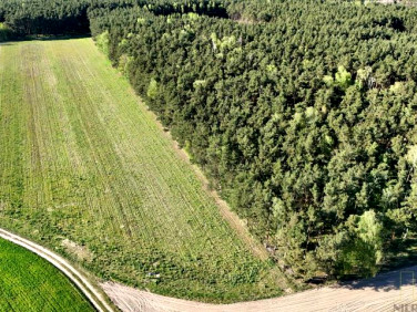 Działka budowlana Nowe Tłoki