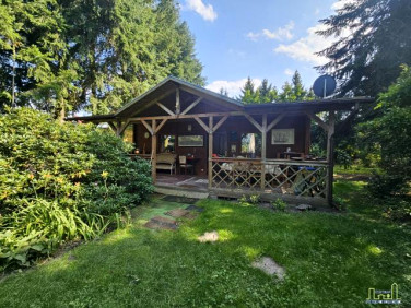 Działka budowlano-rolna Radomierz