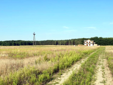 Działka budowlana Boruja