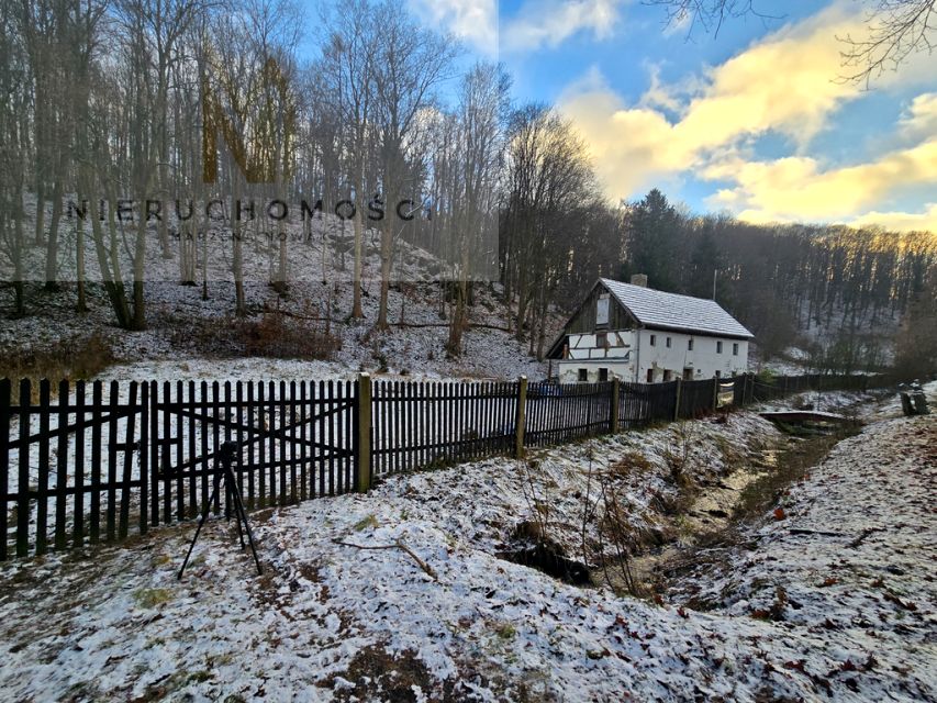 Dom wolnostojący sprzedaż