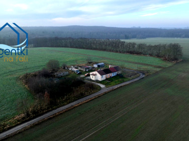 Mieszkanie Wyszecino sprzedaż