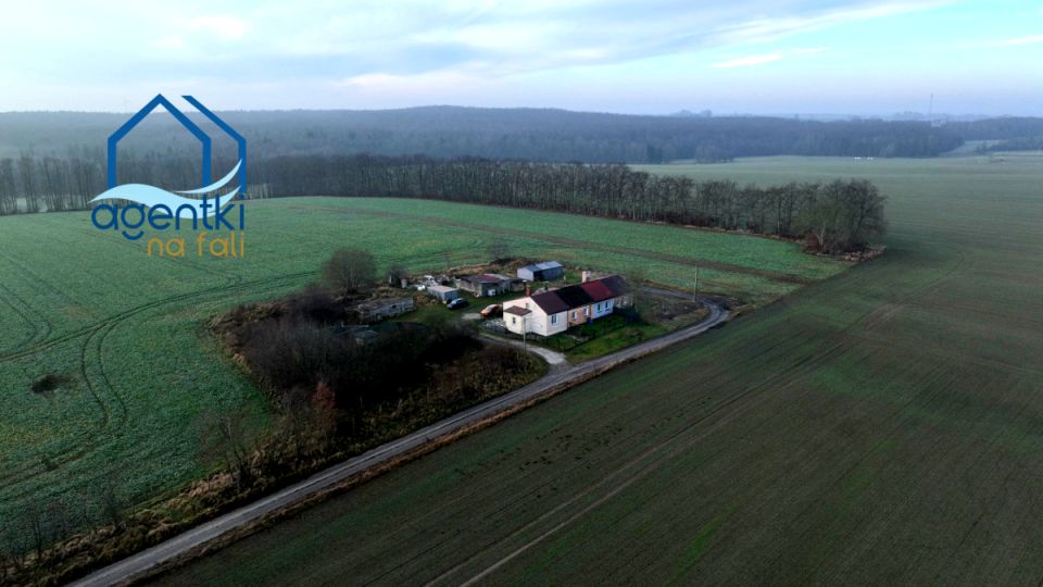 Mieszkanie Wyszecino sprzedaż