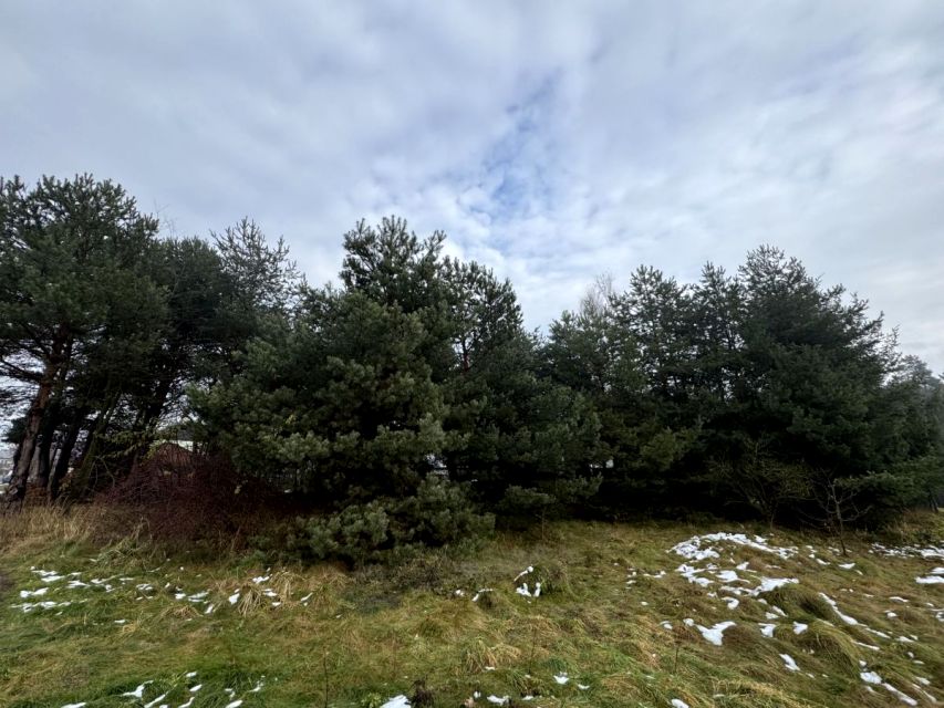 Działka budowlana Rybnik