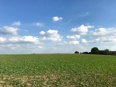 Działka budowlana Pilchowice