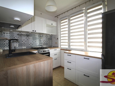 Mieszkanie Radom wynajem