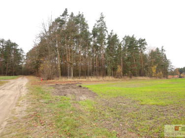 Działka budowlana Szczedrzyk sprzedam