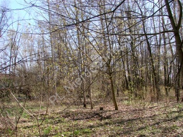 Działka Milanówek