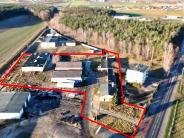 Lokal Stara Tuchorza sprzedaż