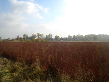 Działka rolna Borowa sprzedam