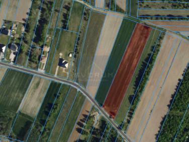 Działka budowlana Lubojenka