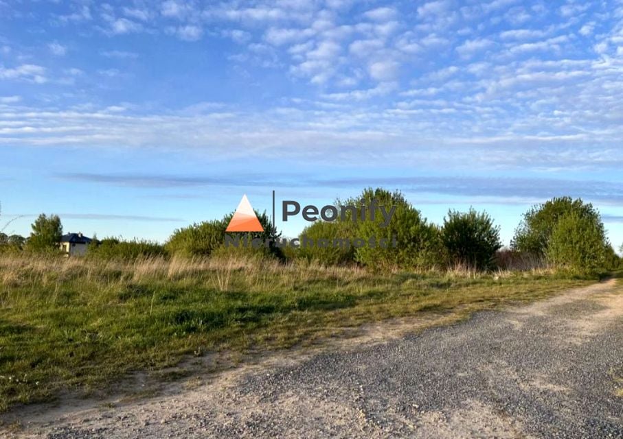 Zdjęcie 2