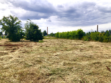 Działka budowlana Kalisz