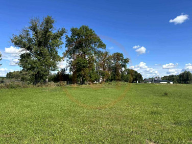 Ogrodzona działka sprzedam