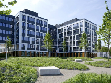 Lokal Wrocław wynajem