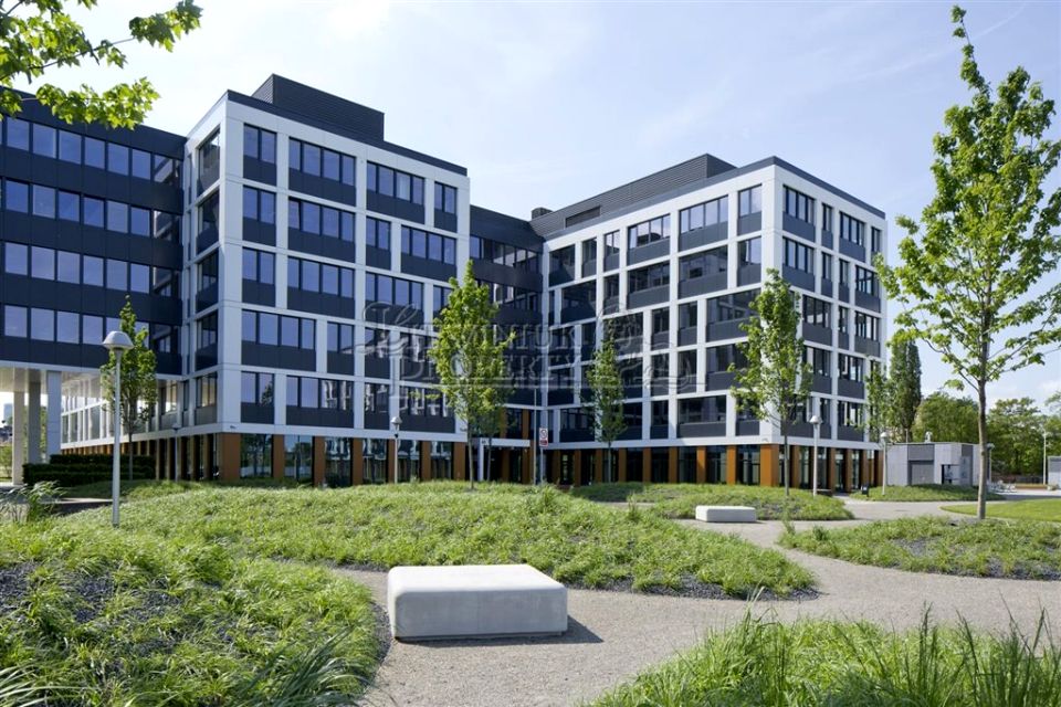 Lokal Wrocław wynajem