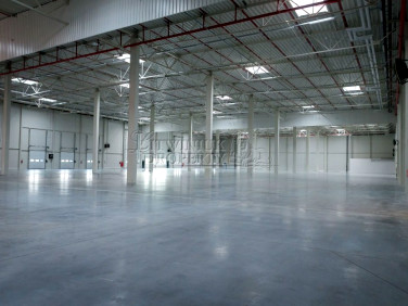 Budynek użytkowy Rzeszów