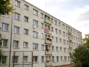 Mieszkanie Kwidzyn sprzedaż