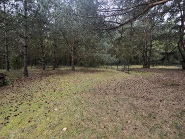 Działka budowlana Ślesin sprzedam