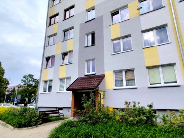 Mieszkanie Polkowice