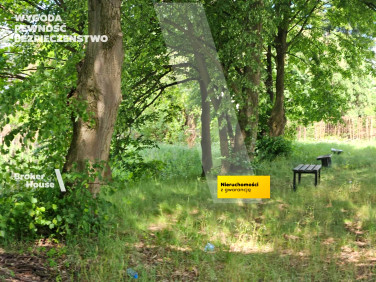 Działka inwestycyjna Baniocha