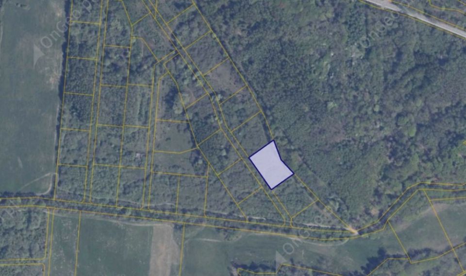 Działka rolna Pręgowo