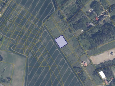 Działka rolna Warcz