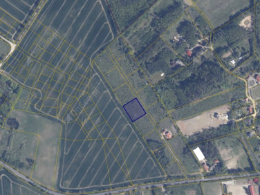 Działka rolna Warcz