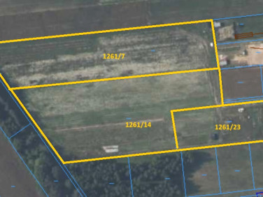 Działka rolna Nasutów